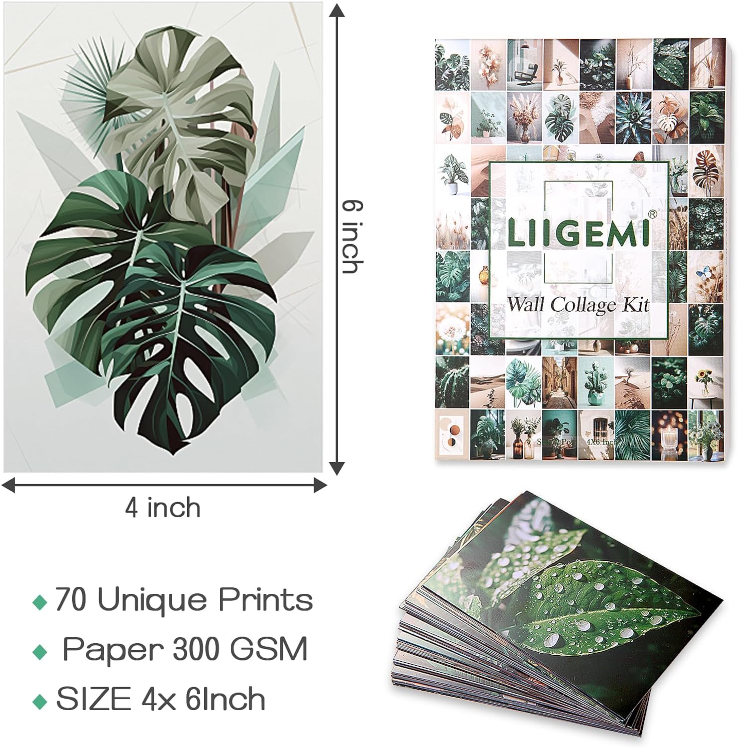 LIIGEMI 70PCS Botanical Wall Collage Kit Aesthetic Pictures, Photo collage kit, Bedroom Decor for Teen Girls, VSCO Girls Bedroom Decor, Aesthetic Posters，70 Set 4x6 Inch (Green)